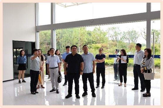 ty8����ƽ̨��¼˳��ͨ������Ƽ�����������